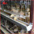 High Quality Live Chicken Cage to Transport for Hot Sale